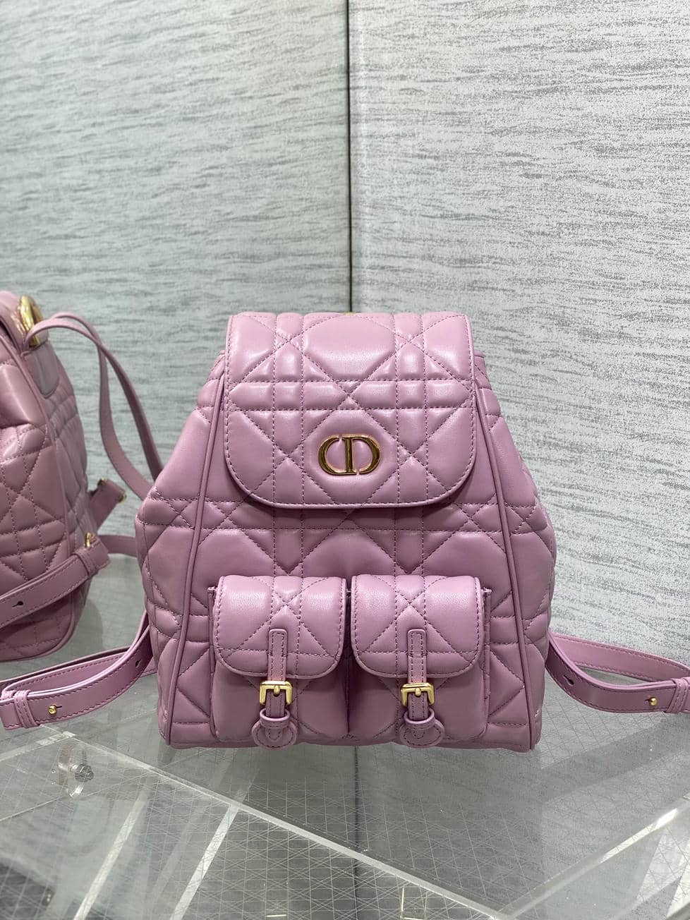 Backpack 0016